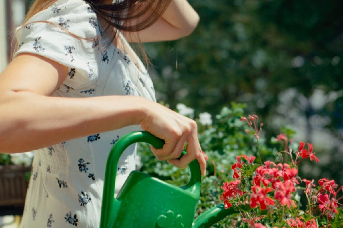 Unsplash editorial feature image for A Canadian Garden Plan Needs a Water Strategy; no readable text, logos, currency, personal data, or watermark; sharp topic relevance and neutral...