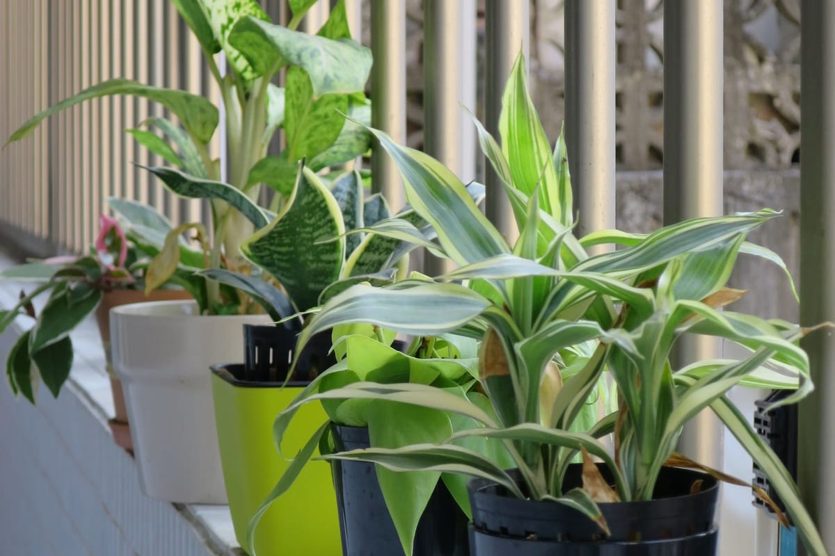 Unsplash editorial feature image for A Balcony Garden Is a Wind-and-Weight Problem Before It Is a Plant List; no readable text, logos, currency, personal data, or watermark; sharp topic...