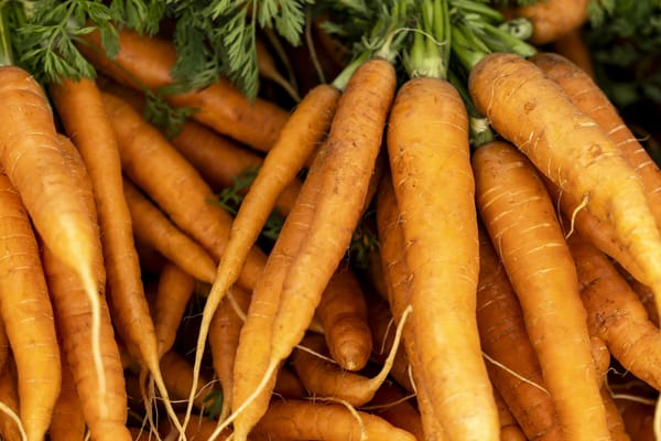 Fresh harvested carrots as a seasonal edible-garden image